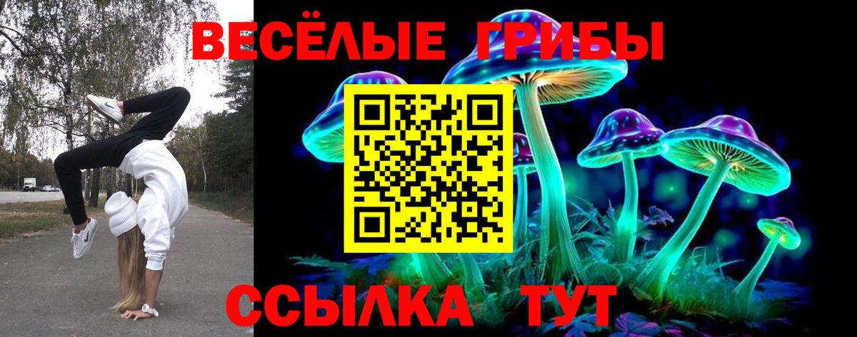 Рузаевка  как найти закладки  Вход с VPN  Псилоцибиновые грибы Magic Shrooms 