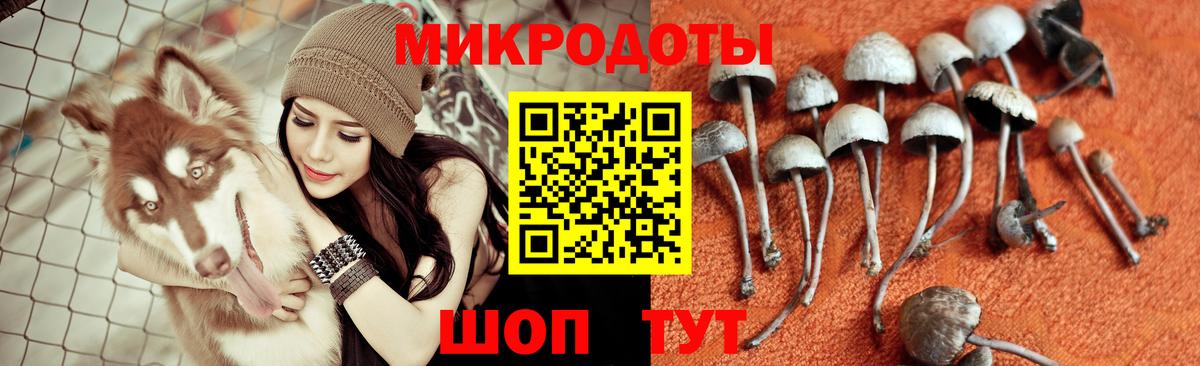 Псилоцибиновые грибы мицелий Рузаевка